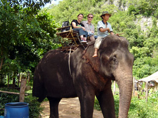 ephelant! in thailand! awesome!
